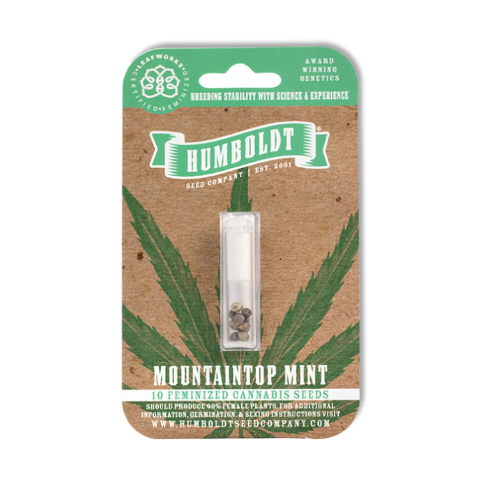 Photograph of product: Mountain Top Mint (10 fem) - Pine State / Humboldt Seeds