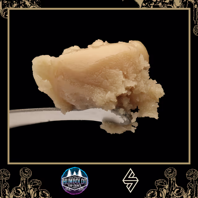 Photograph of product: Humboldt Terp Council - Whitethorn Rose - Dab