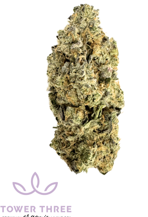 Photograph of product: Taunton Cookie - Flower - Tower Three - 28g