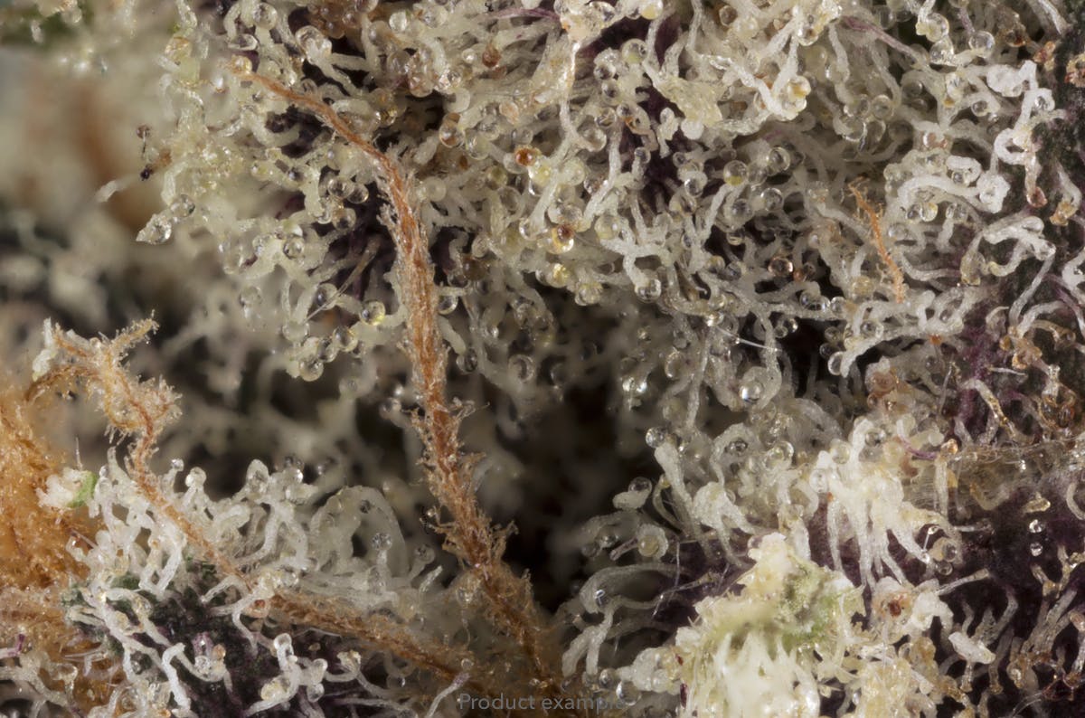 Photograph of product: Han Solo Burger