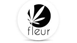 Photograph of product: Fleur Infused Blunt 1g Tidal Wave