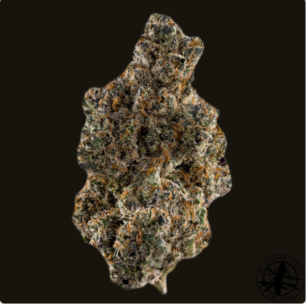 Photograph of product: Growers Circle - Waffle Cone - (H) - 3.5g