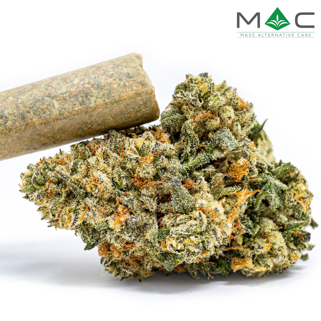 Photograph of product: LA Beatnik Preroll | 1g | 31.03% TAC % Terpenes