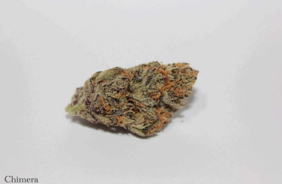 Photograph of product: Roemer Farms - Chimera - Flower - 3.5g