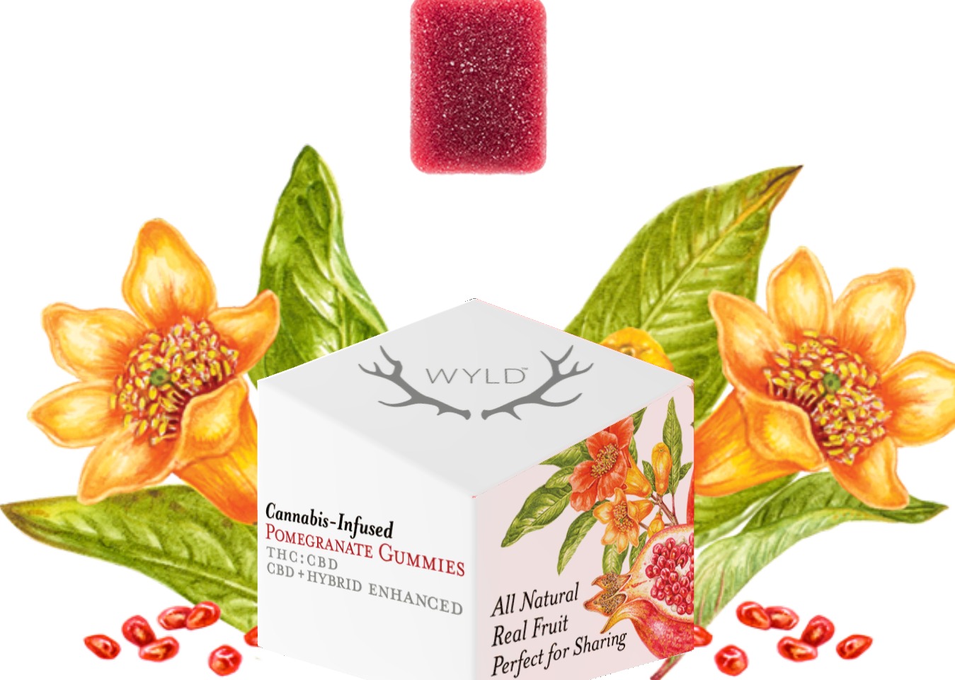 Photograph of product: Wyld -  Pomegranate Gummies 1:1 - 100mg