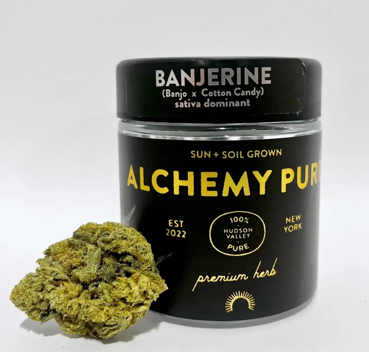 Photograph of product: Alchemy Pure | Banjerine | Flower | 3.5g