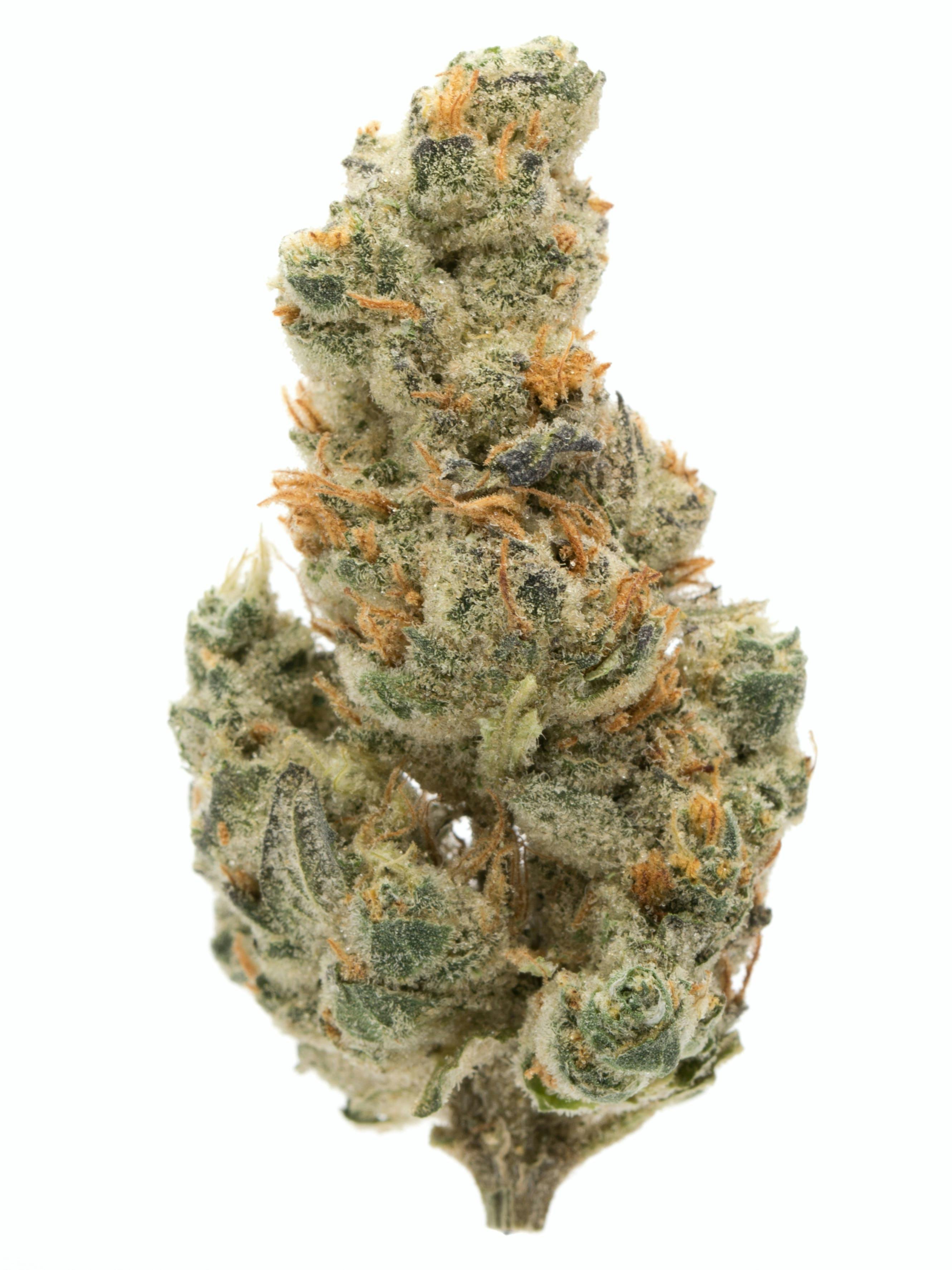Photograph of product: Mac 1 - 