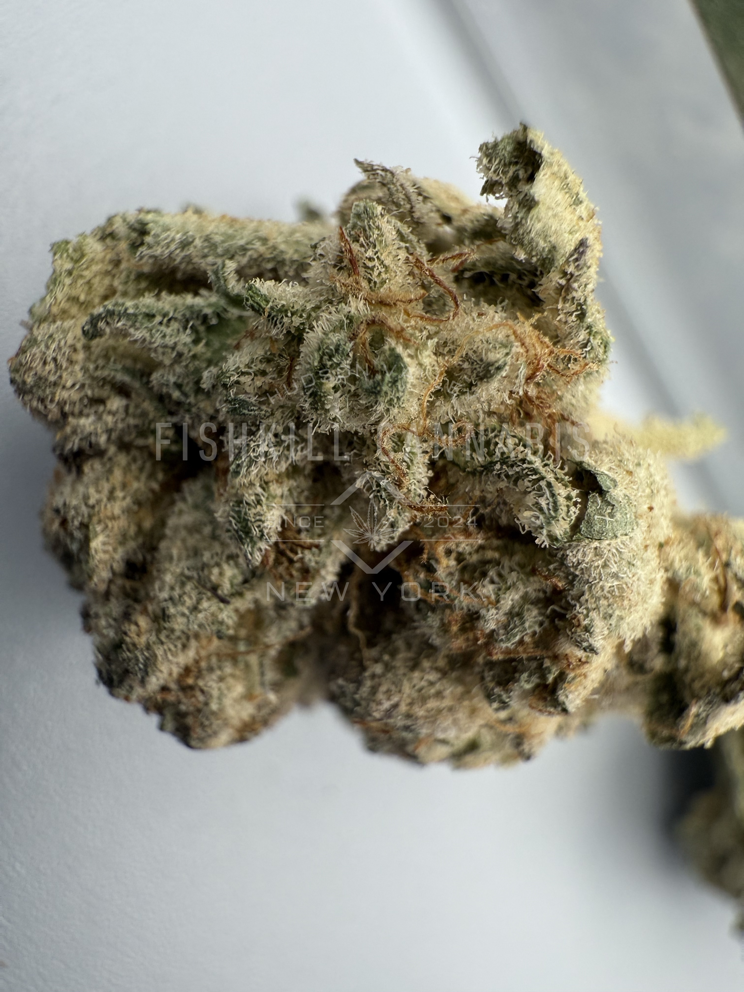 Photograph of product: Atomic Breath | 3.5g Flower | Grassroots