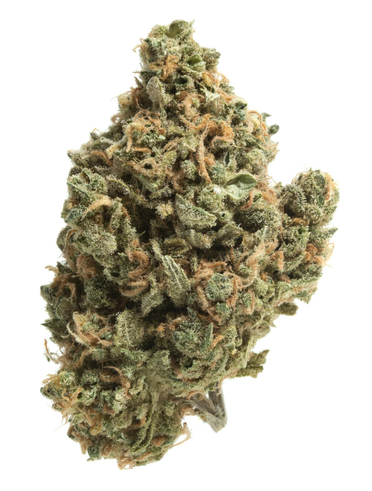 Photograph of product: Pruf Cultivar Banana R*ntz - 28g