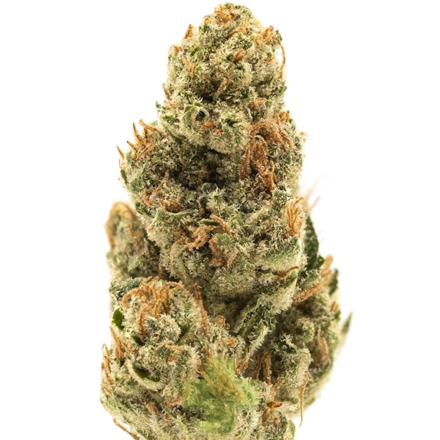 Photograph of product: Daytrippin, GH - Eighth