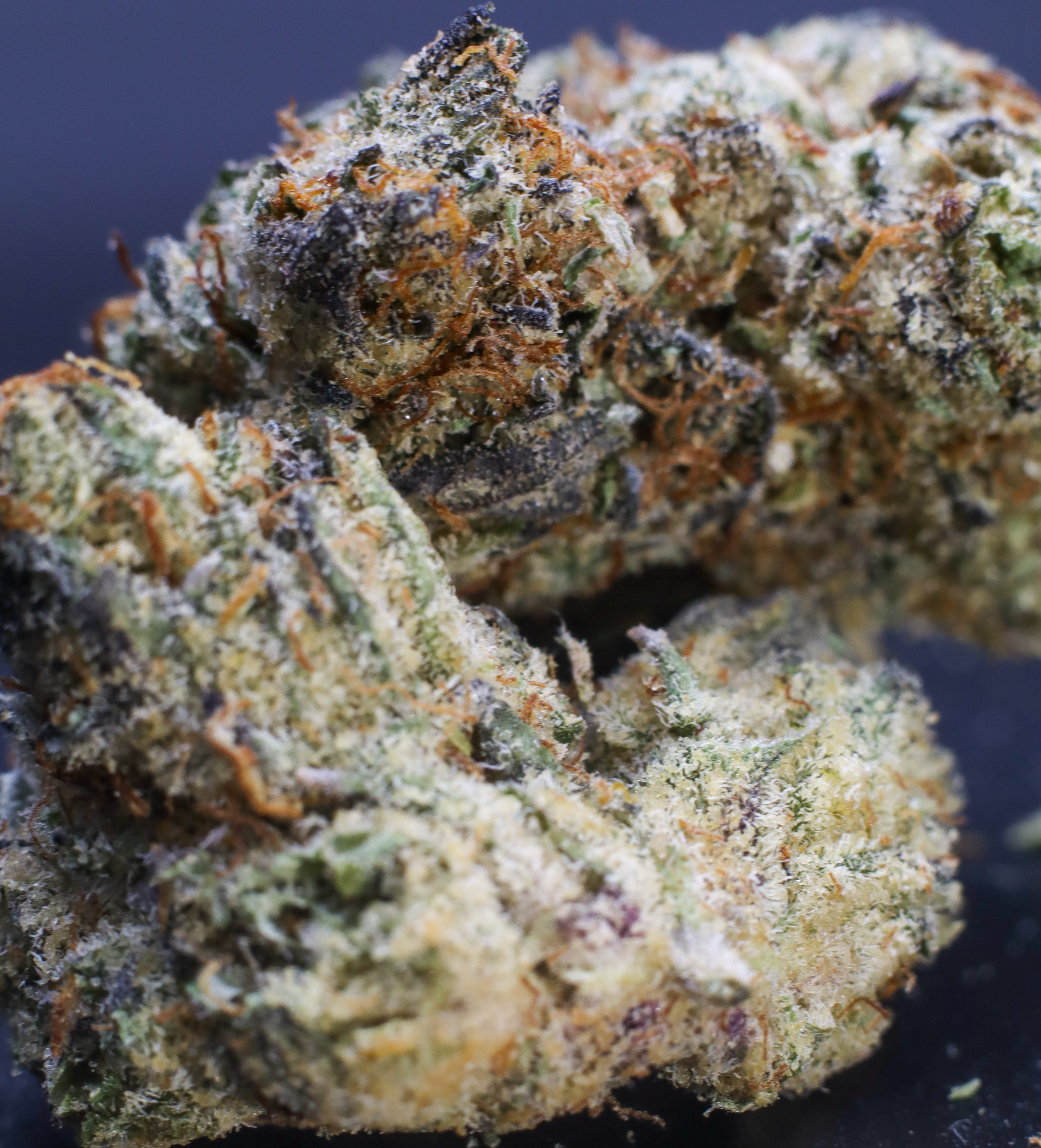 Photograph of product: Platinum Shelf - Grease Monkey (H) - 28g