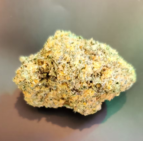 Photograph of product: Trap House | Black Maple | Hybrid | Bulk Flower | Silver - 1g