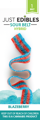 Photograph of product: Just Edilbes Sour Long Belt Blazeberry 100mg