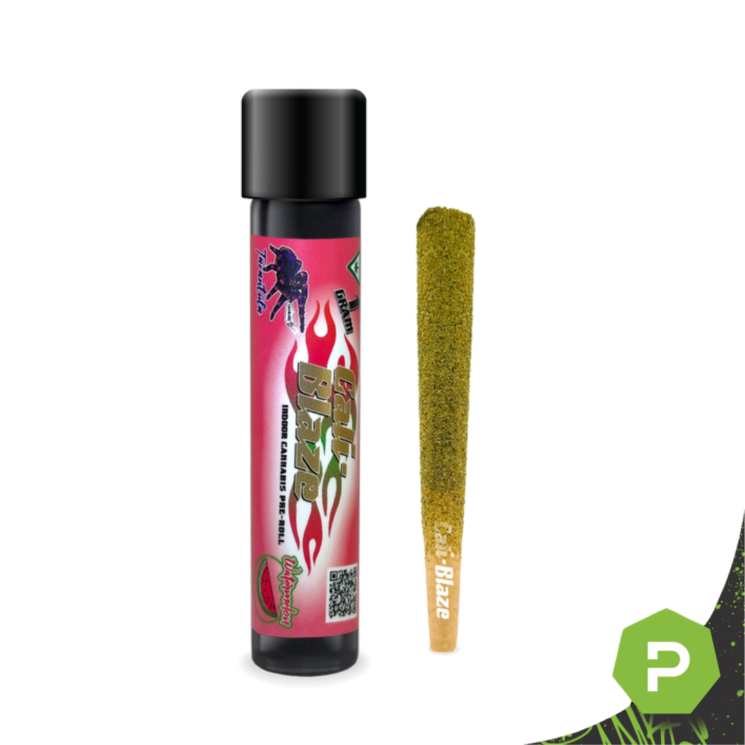 Photograph of product: Cali Blaze | 1g Tarantula Preroll | Watermelon