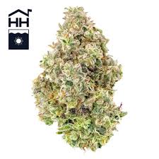 Photograph of product: Albario | Flower | 3.5g