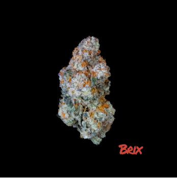Photograph of product: Brix Oui'd Whole Flower B Yo (I) 00248 (AU) - 3.5g