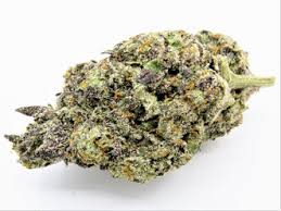 Photograph of product: M&M | Cereal Runtz | 28g Shake/Trim