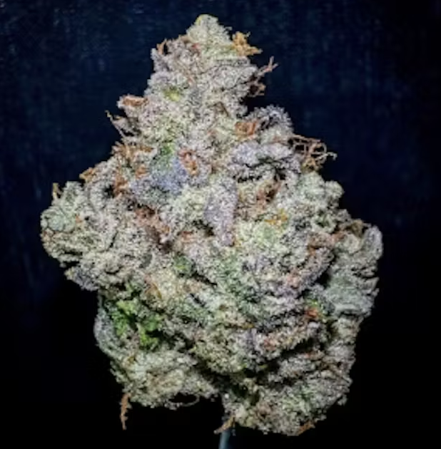 Photograph of product: Watermellos (H) - 3.5g