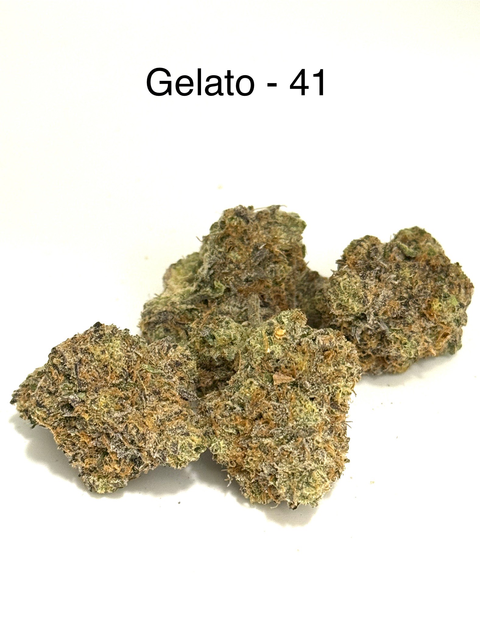Photograph of product: Flower | Gelato 41 - 3.5g