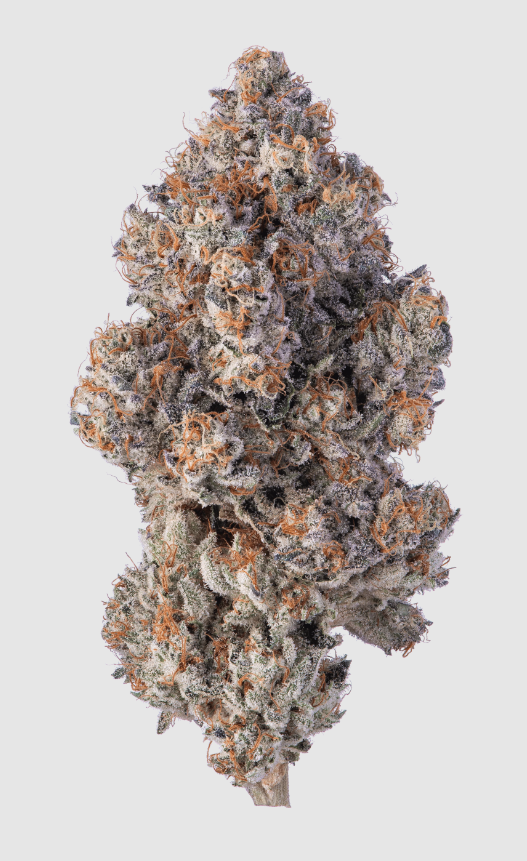 Photograph of product: Flower | Khalifa Kush | Khalifa Mints | 3.5g