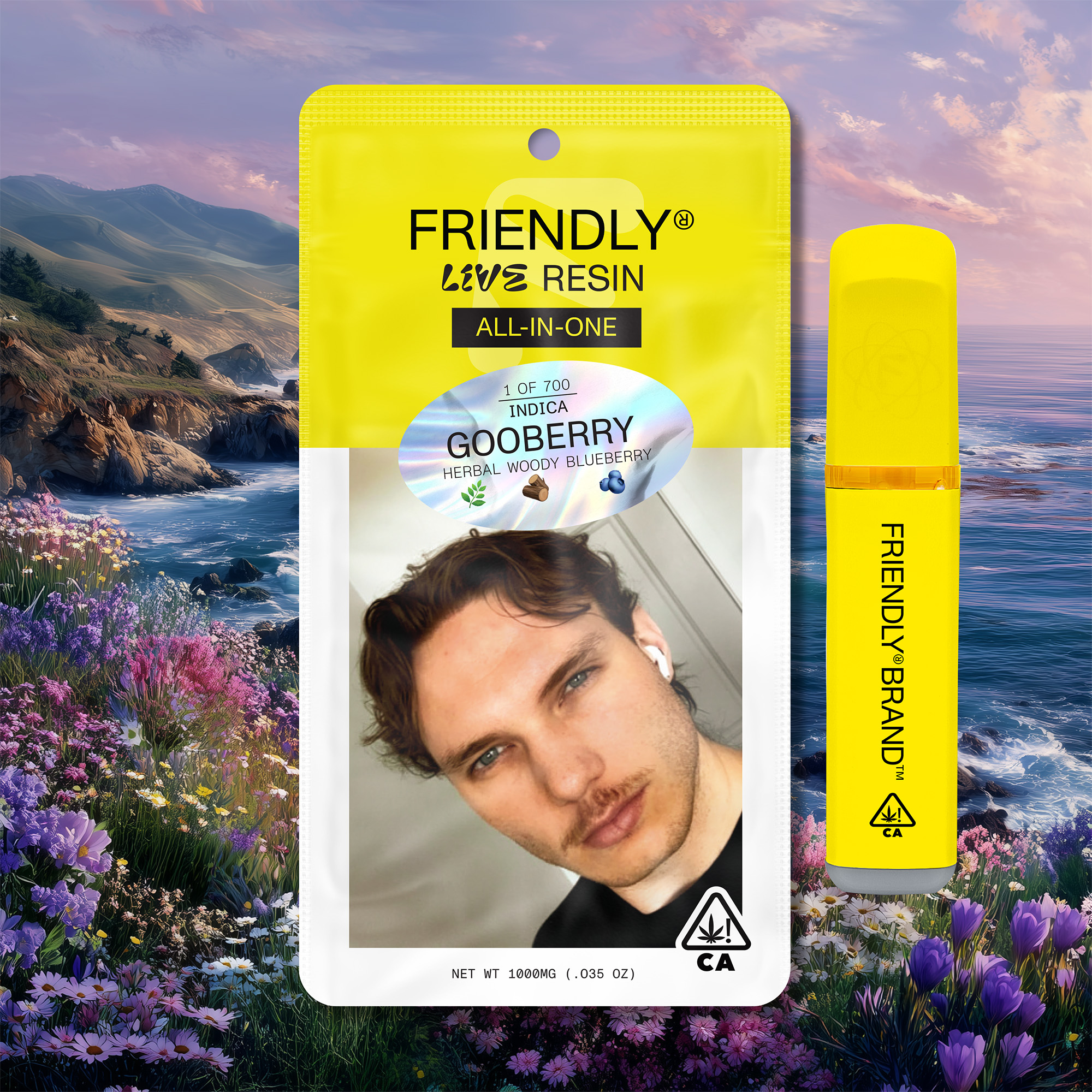 Photograph of product: Gooberry 1g Live Resin All In One Cart - Friendly Brand