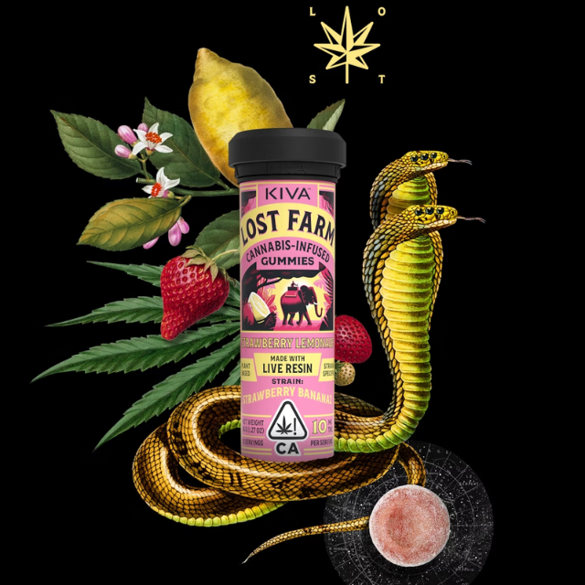 Photograph of product: 10CT- STRAWBERRY LEMONADE- LIVE RESIN- GUMMIES