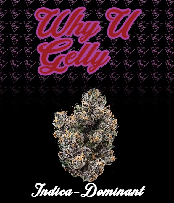 Photograph of product: Why U Gelly | Flower | 3.5g