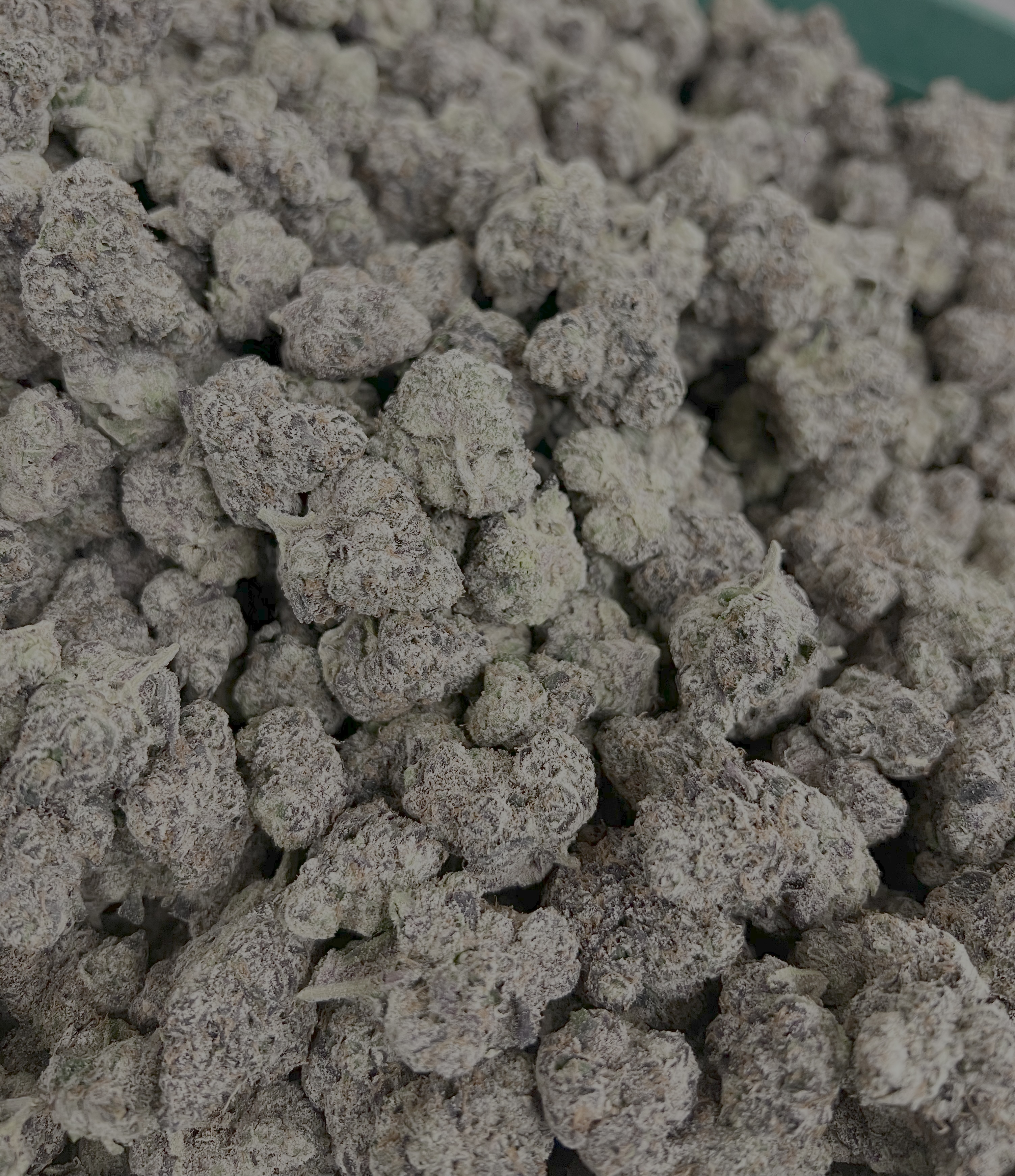 Photograph of product: Bubble Gum Runtz - 28g