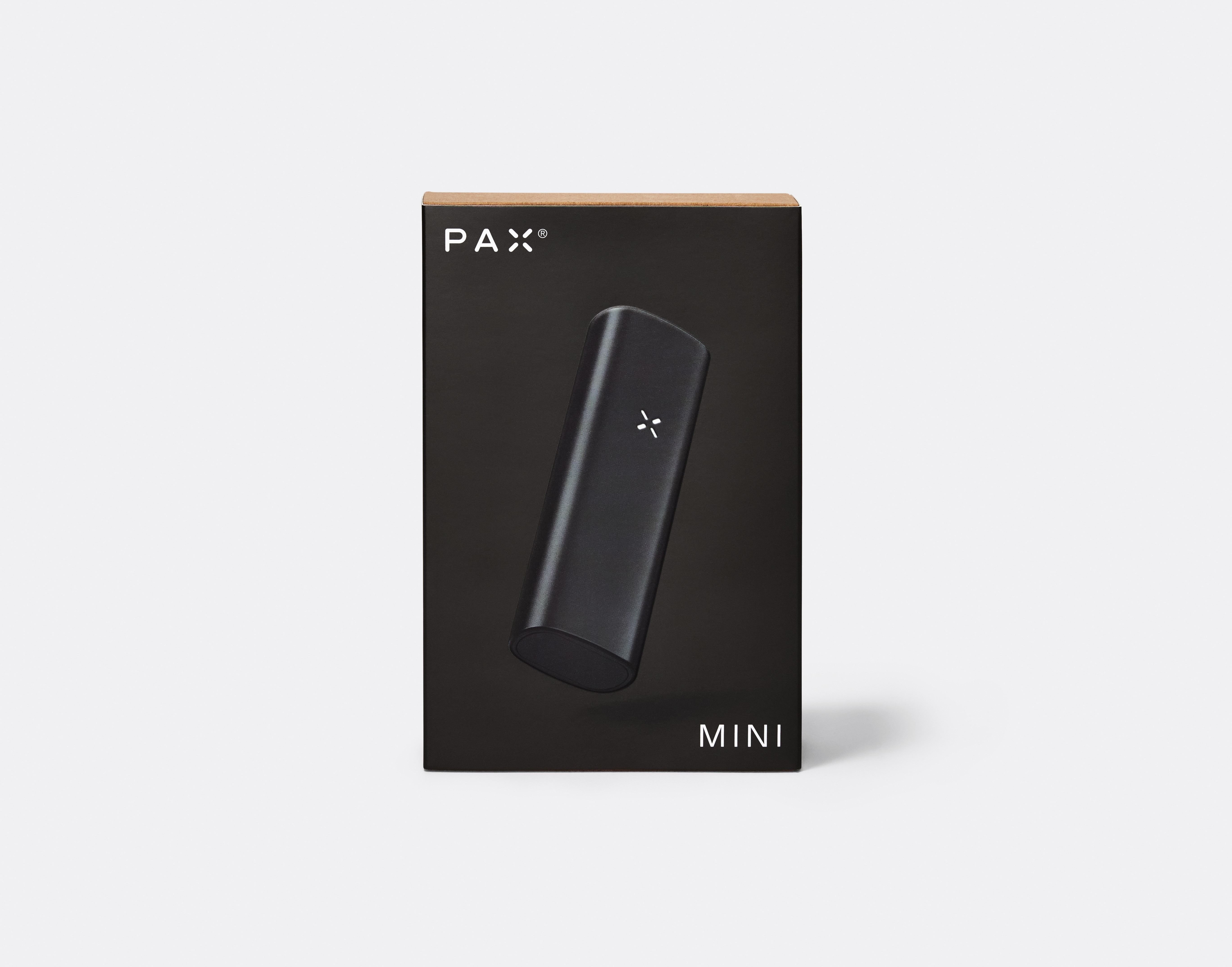 Photograph of Product: PAX Mini | Platinum