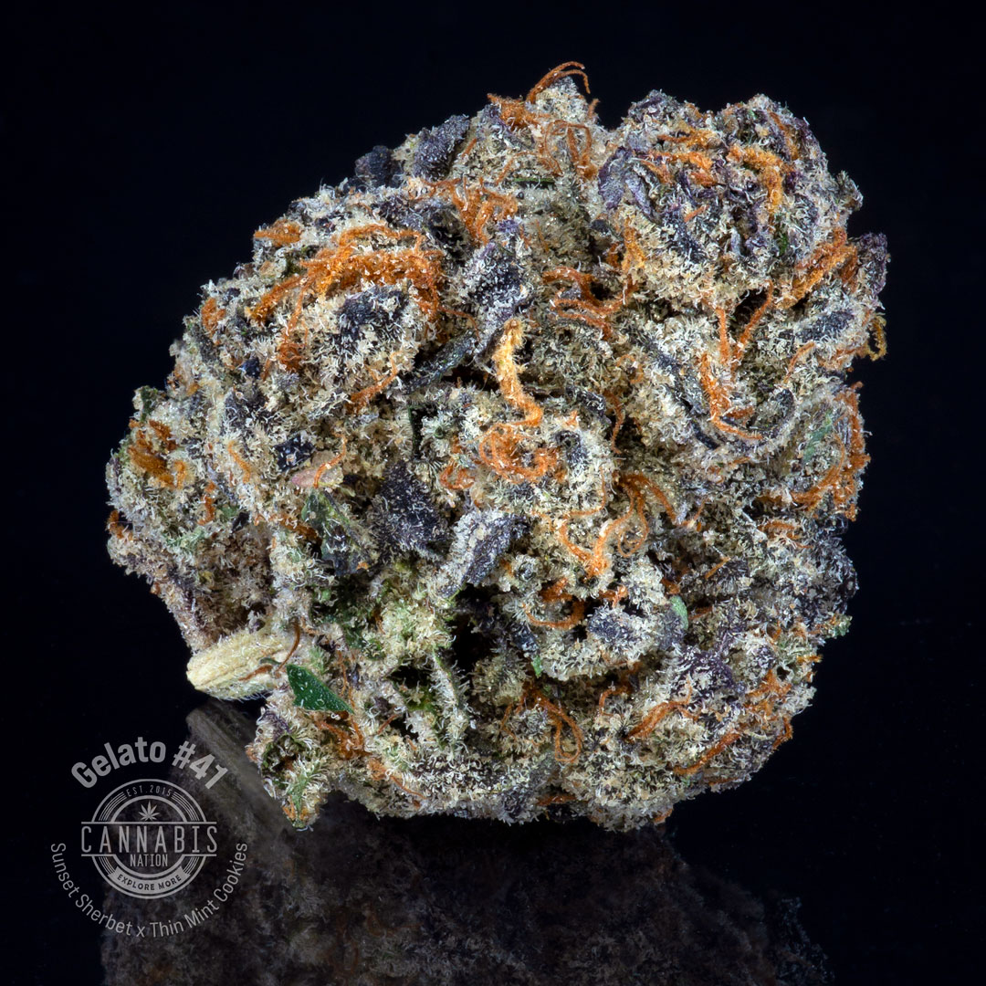 Photograph of product: Flower | Gelato 41 - 28g