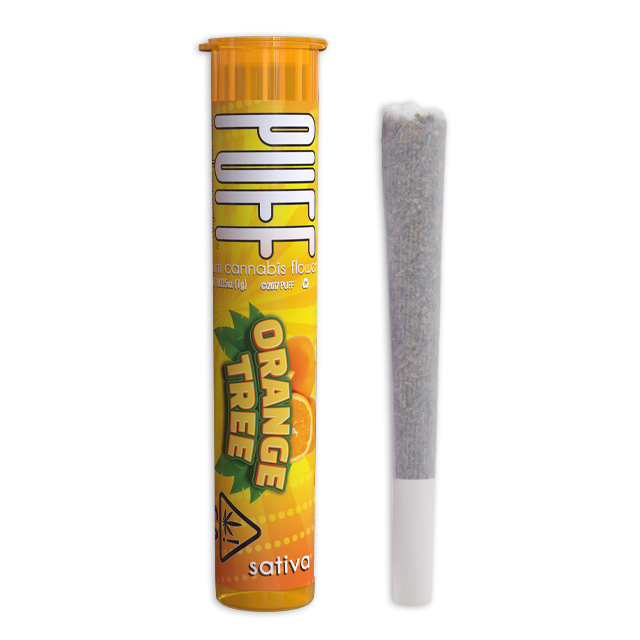 Photograph of product: ORANGE TREE (1G)