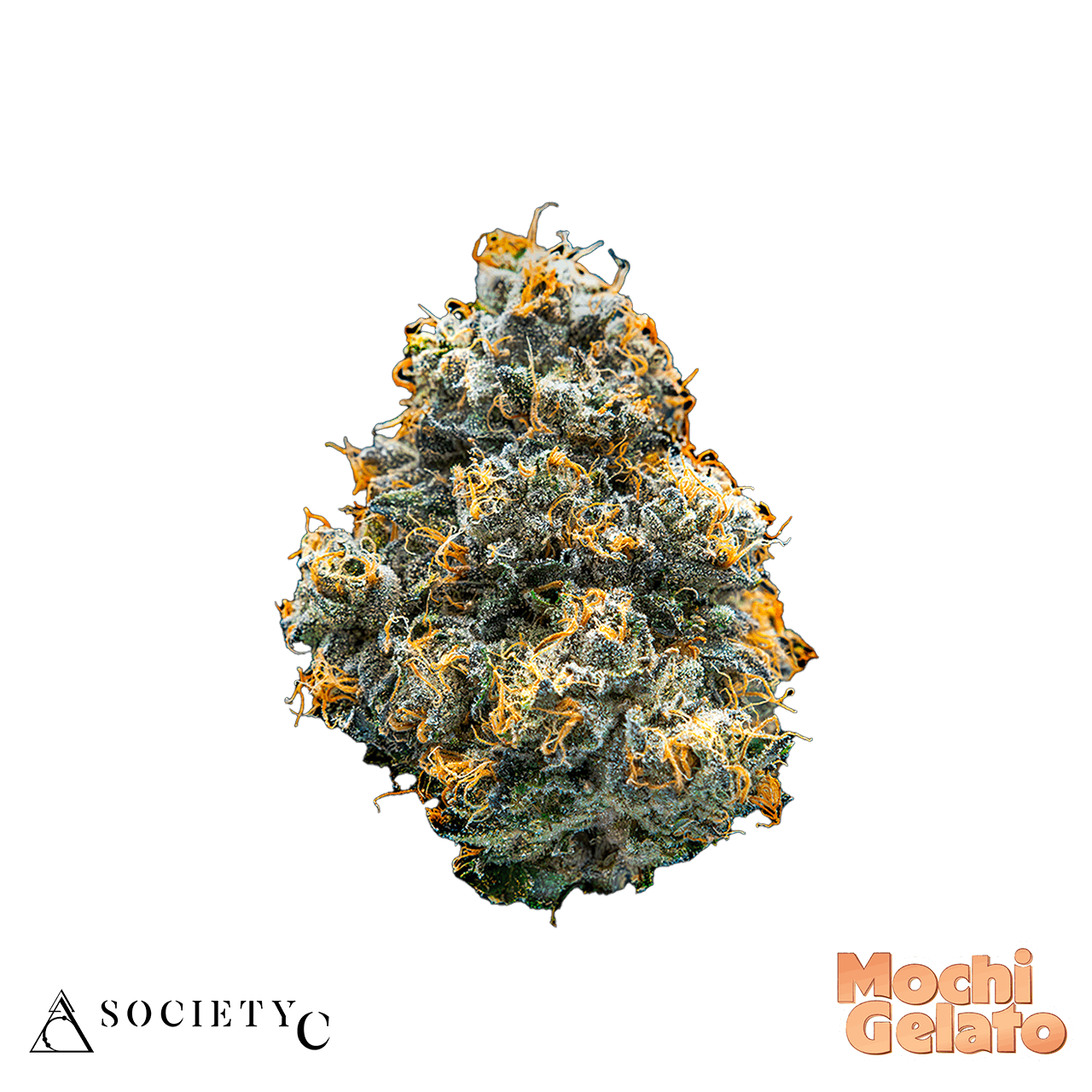 Photograph of product: Mochi Gelato - 8th - Society C - 25.44% - 3.5g