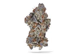 Photograph of product: Bouket Deep Space #6 Flower - 4g