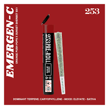Photograph of product: Emergen-C | Pre-Roll 1pk | 1g