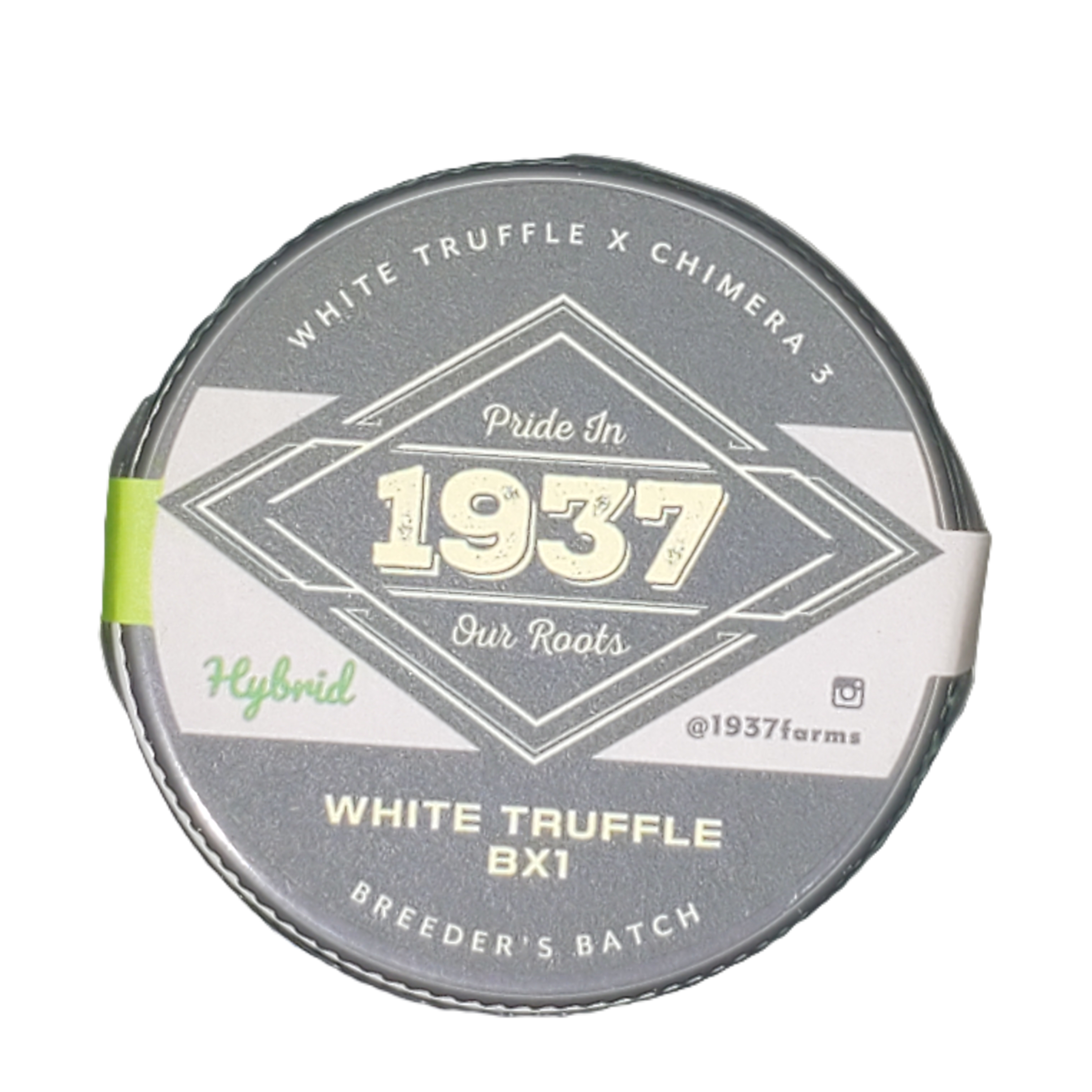 Photograph of product: 1937 White Truffle BX1 - 7g