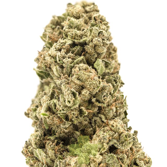 Photograph of product: Red Cherry Gelato, GH - Eighth