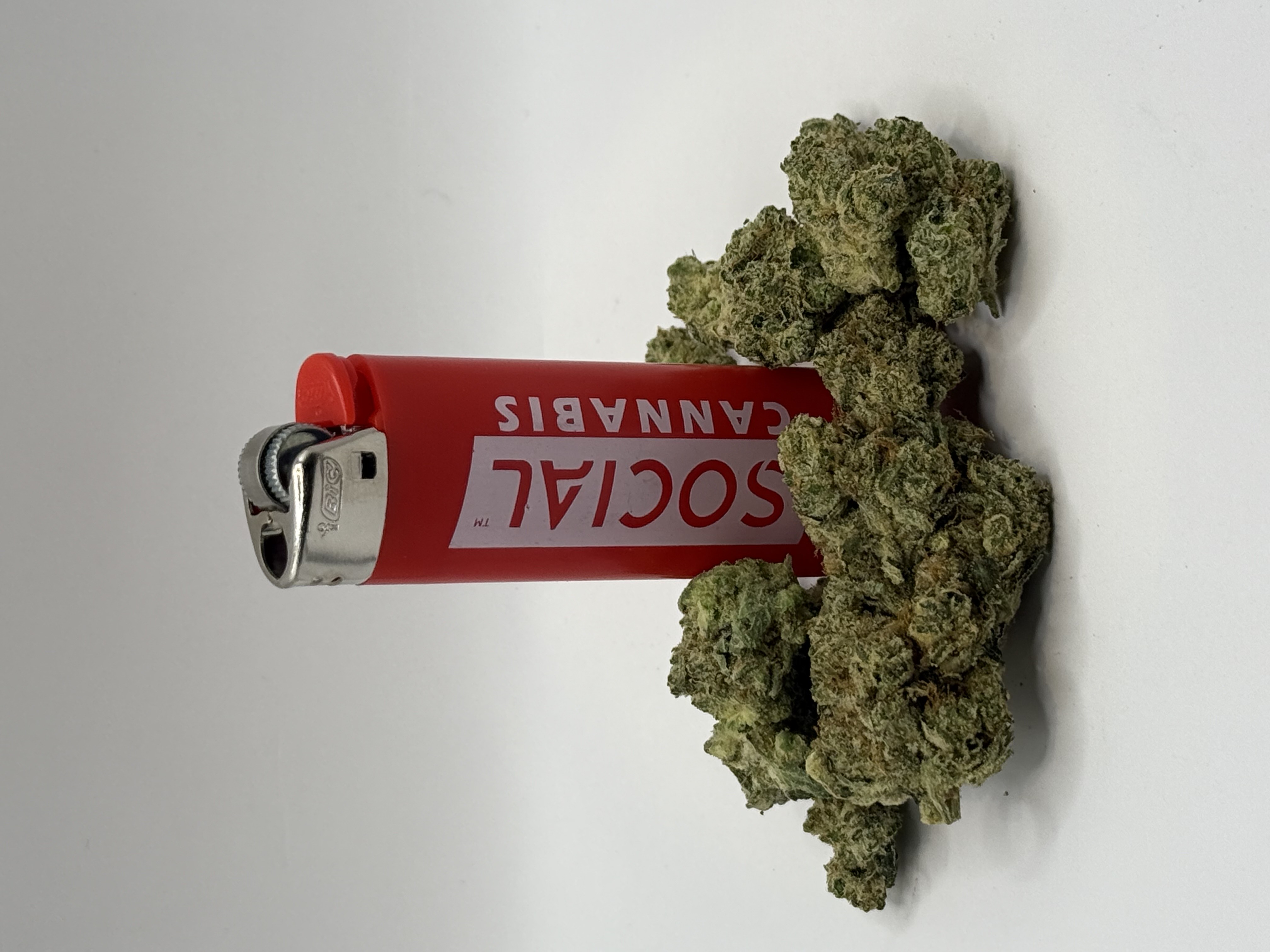 Photograph of product: Platinum Shelf - GG#4 (I) - 28g