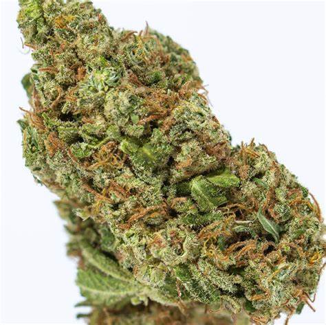 Photograph of product: Growing Up Oui'd - OZ KUSH - I - 28g