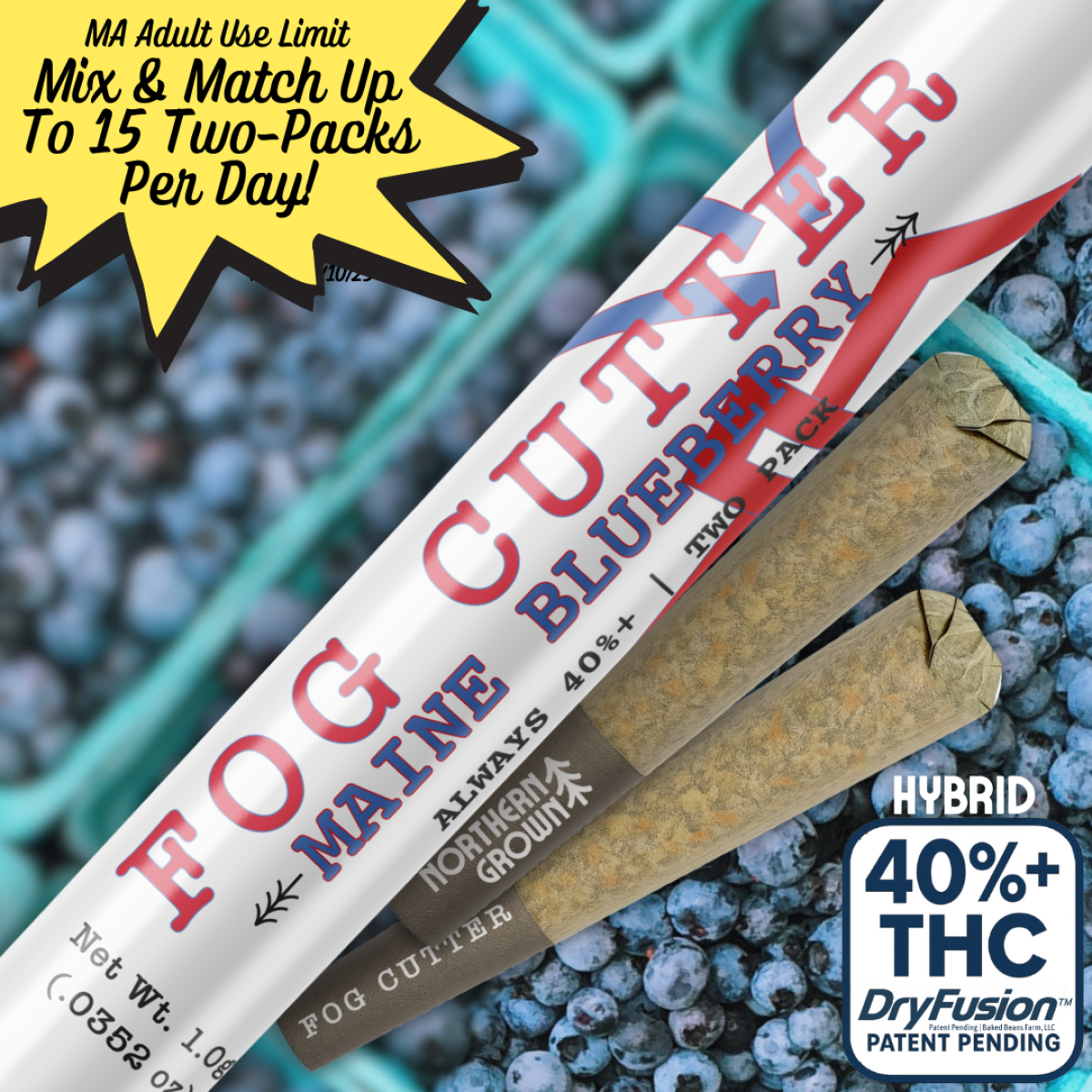 Photograph of product: Hydro Infused | Acai Berry | 2pk | 1g