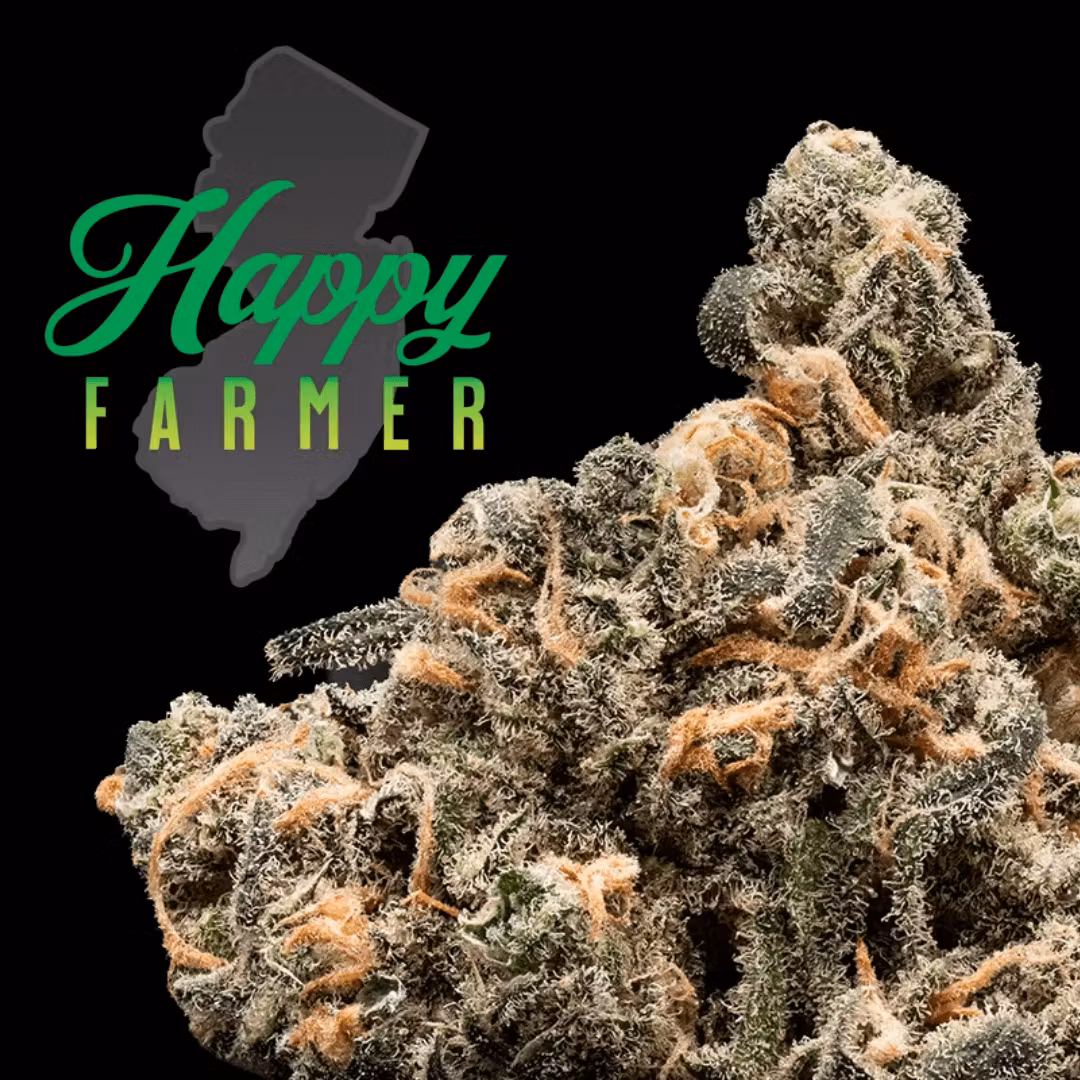 Photograph of product: Flower | Blue Dream - 3.5g