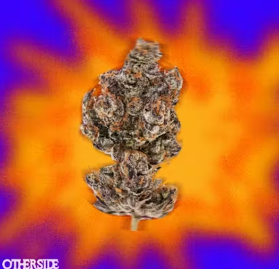 Photograph of product: Biscotti Flower 7g