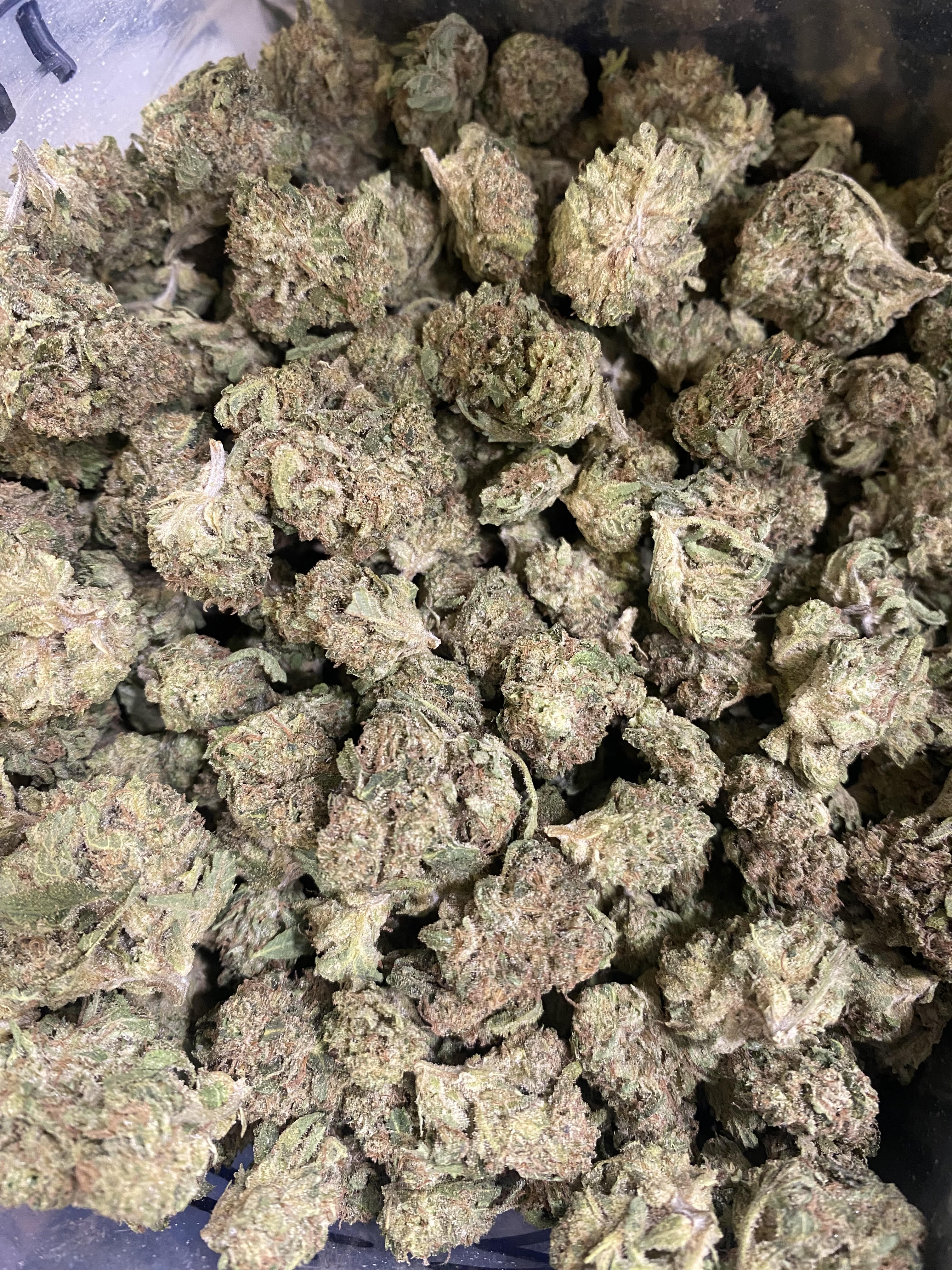 Photograph of product: Truffle Monkey #3 (S) - 3.5g