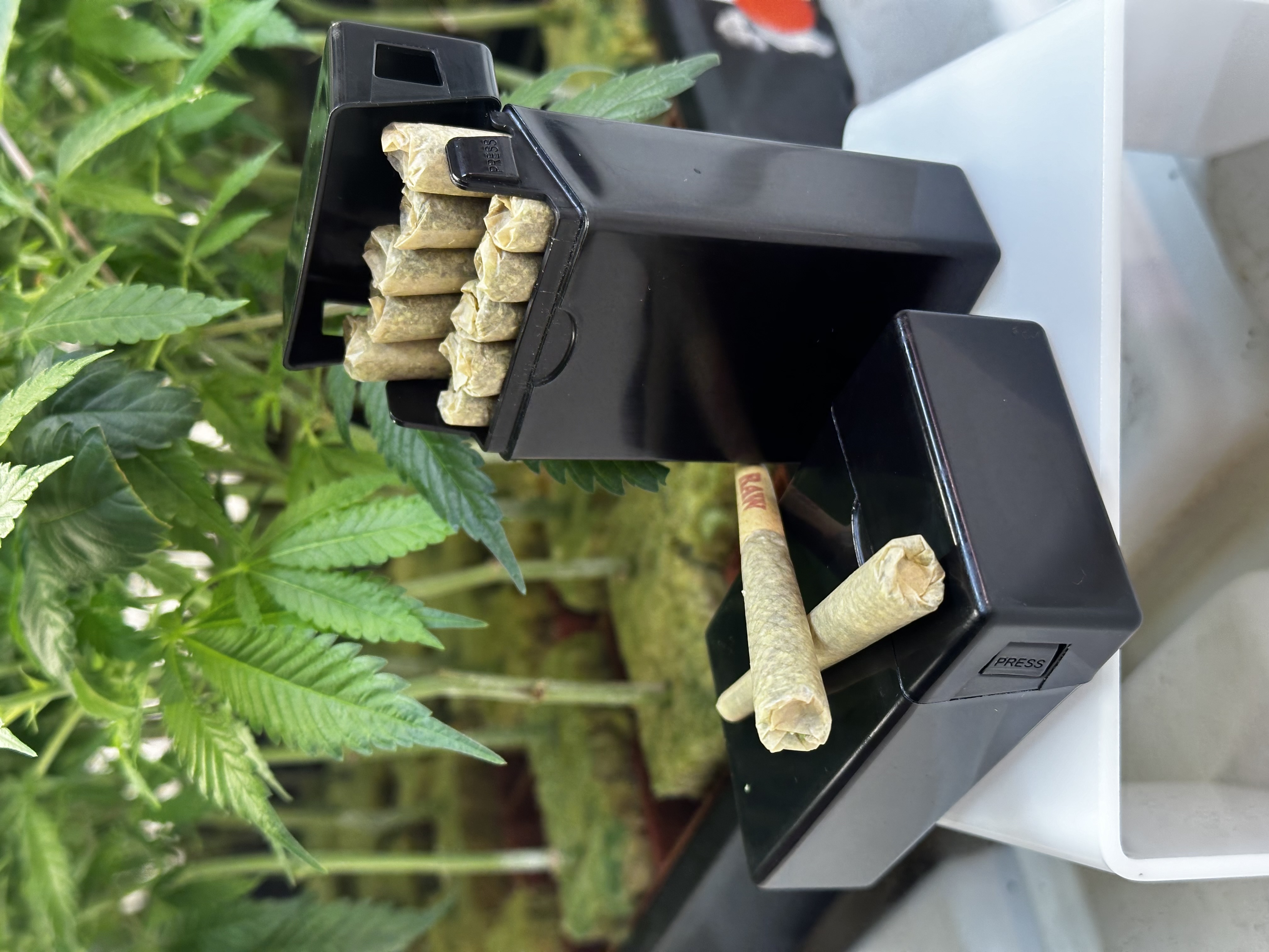 Photograph of product: PONO Pre-Roll 10pack - Maui Jelly Fritter