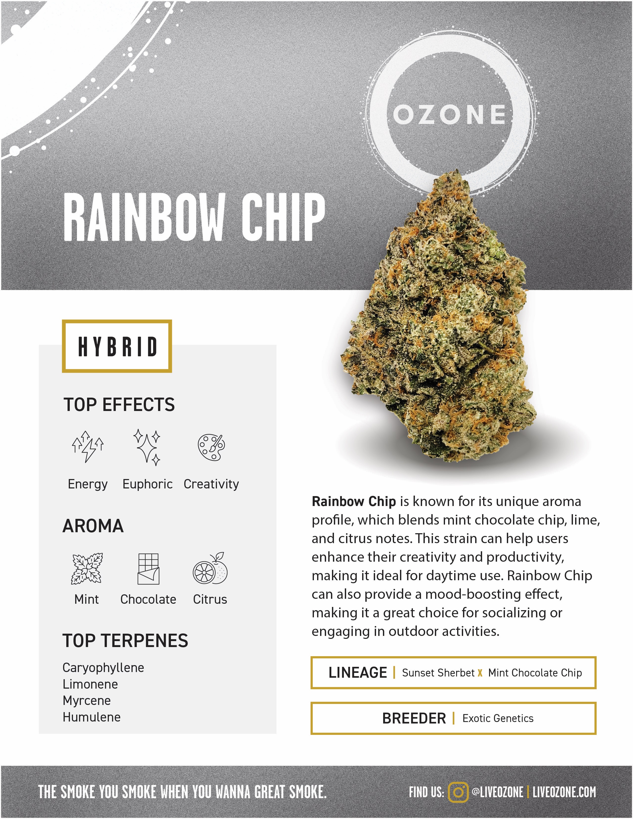 Photograph of product: OZONE Rainbow Chip Flower (REC) - 3.5g