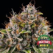 Photograph of product: Cannabiotix - Casino Kush 3.5g - Cannabiotix - Casino Kush 3.5g