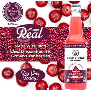 Photograph of product: P+S | Cape Cod Cranberry Drink | 10mg TH-oui