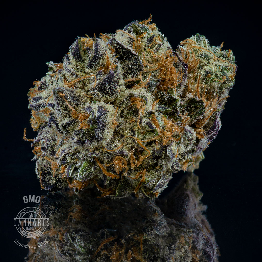Photograph of product: Flower | GMO - 28g