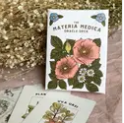 Photograph of product: Materia Medica Oracle Deck