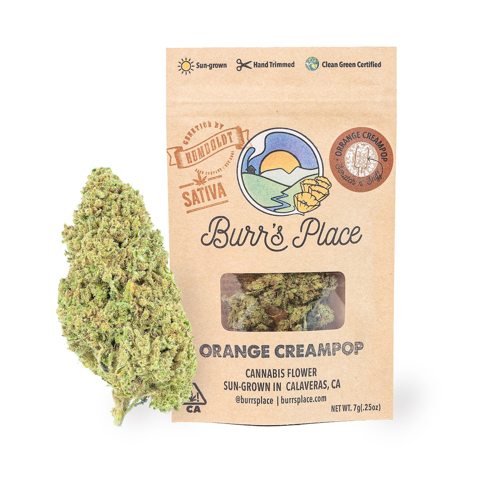 Photograph of product: Orange Creampop (S) | 7g Sungrown Flower