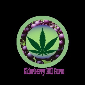 Photograph of Product: Elderberry Hill Farm | Donutz | Pre-Roll